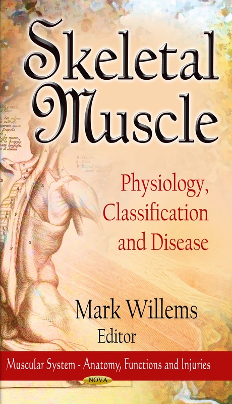 SKELETAL MUSCLE PHYSIO CLASS: Physiology, Classification & Disease (Muscular System - Anatomy, Functions and Injuries: Human Anatomy and Psysiology)
