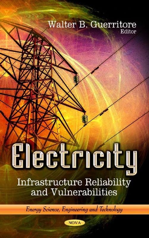 ELECTRICITY INFRASTRUCTURE REL: Infrastructure Reliability & Vulnerabilities (Energy Science, Engineering and Technology Energy)