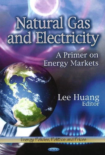 Natural Gas Electricity: A Primer on Energy Markets Book - Image 1