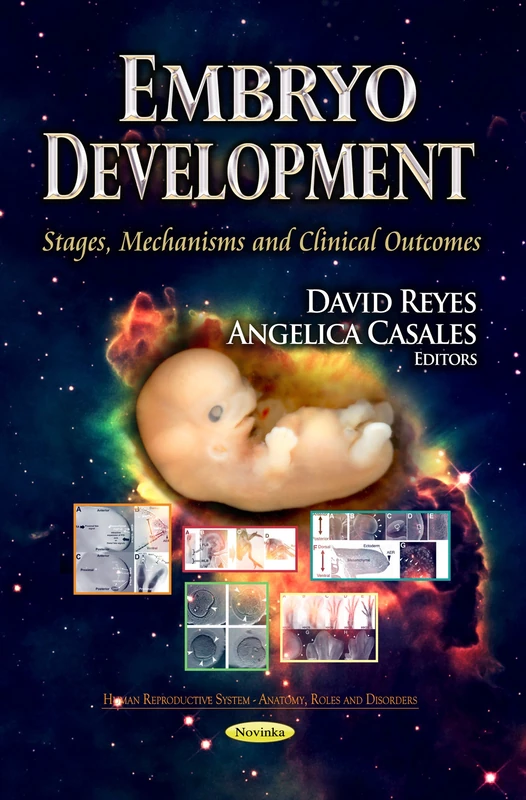 EMBRYO DEVELOPMENT STAGES MECH: Stages, Mechanisms & Clinical Outcomes (Human Reproductive System-anatomy, Roles and Disorders)