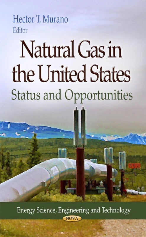 Natural Gas in the United States: Status and Opportunities (Energy Science, Engineering and Technology)