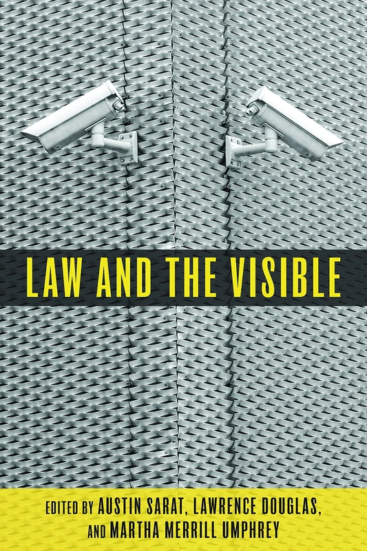 Law and the Visible (The Amherst Series in Law, Jurisprudence, and Social Thought)