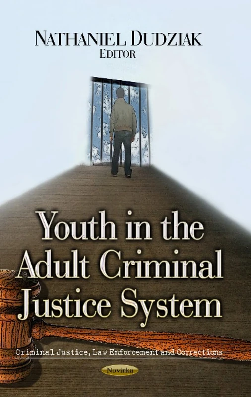 YOUTH IN ADULT CRIMINAL JUSTI. (Criminal Justice, Law Enforcement and Corrections) - Image 1