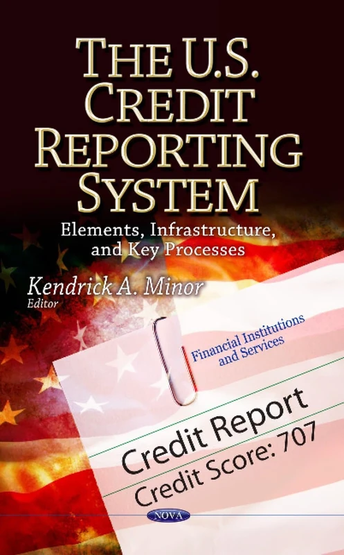 US CREDIT REPORTING SYSTEM: Elements, Infrastructure & Key Processes (Financial Institutions and Services)