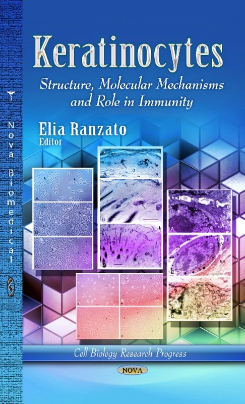 Keratinocytes: Structure, Molecular Mechanisms & Role in Immunity (Cell Biology Research Progress) - Image 1