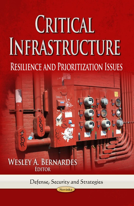 Critical Infrastructure: Resilience & Prioritization Issues (Defense, Security and Strategies) - Image 1