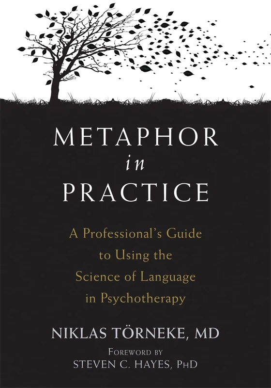 Metaphor in Practice: A Professional's Guide to Using the Science of Language in Psychotherapy