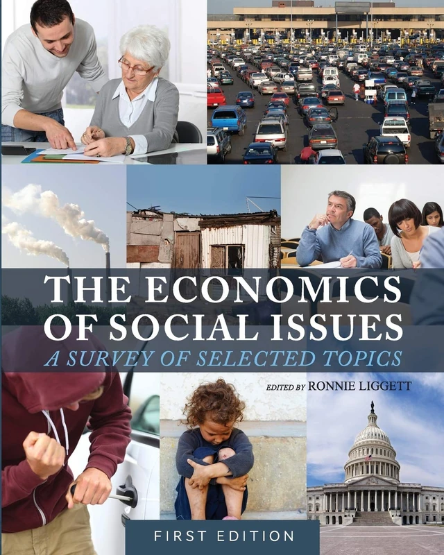 The Economics of Social Issues: A Survey of Selected Topics
