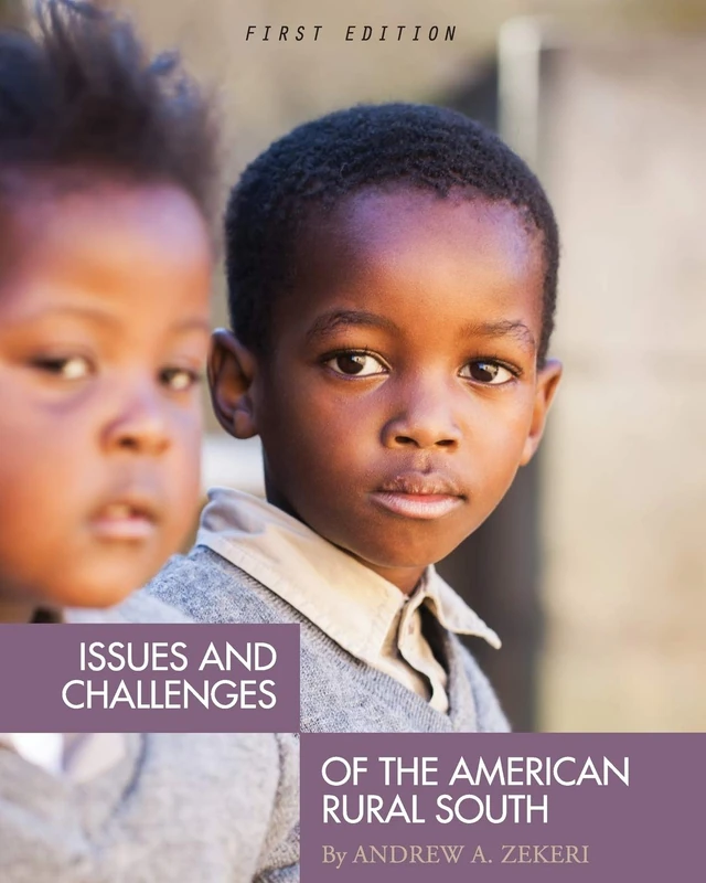 Issues and Challenges of the American Rural South - Image 1
