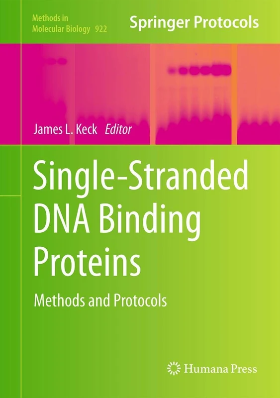 Single-Stranded DNA Binding Proteins: Methods and Protocols: 922 (Methods in Molecular Biology, 922)