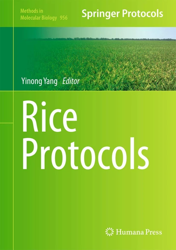 Rice Protocols: 956 (Methods in Molecular Biology, 956)