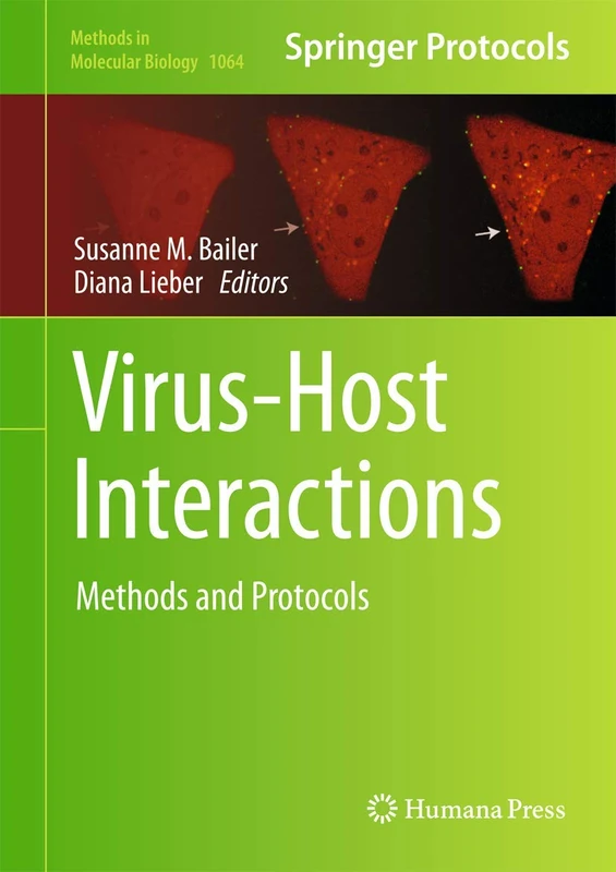 Virus-Host Interactions: Methods and Protocols: 1064 (Methods in Molecular Biology, 1064)