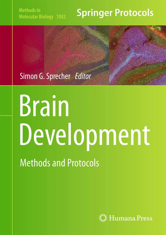 Brain Development: Methods and Protocols: 1082 (Methods in Molecular Biology, 1082)