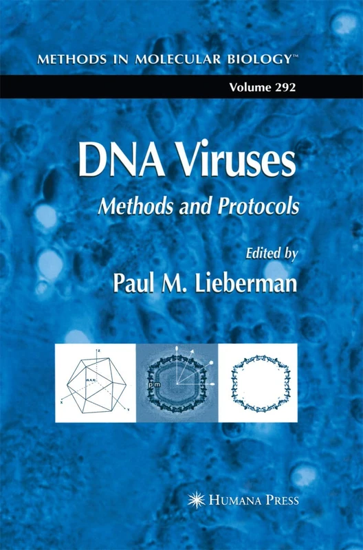 DNA Viruses: Methods and Protocols: 292 (Methods in Molecular Biology, 292) - Image 1