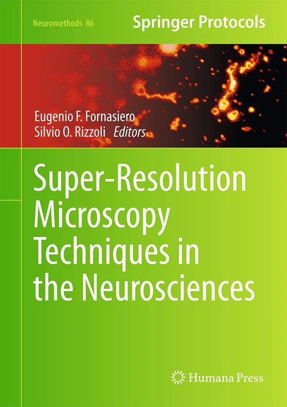 Super-Resolution Microscopy Techniques in the Neurosciences: 86 (Neuromethods, 86)