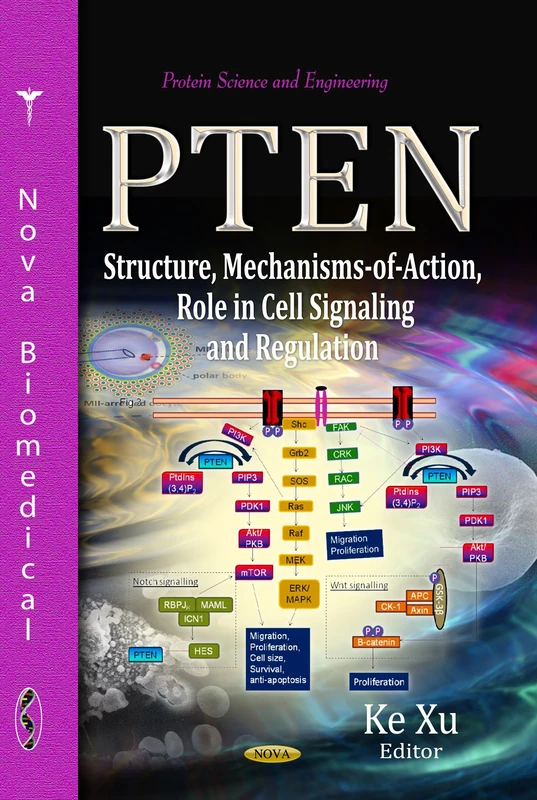PTEN: Structure, Mechanisms-of-Action, Role in Cell Signaling - Image 1