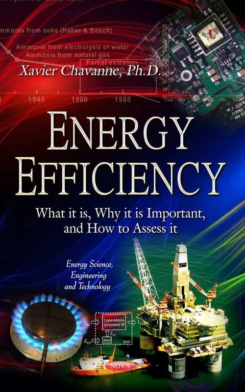 ENERGY EFFICIENCY WHAT IT IS: What it is, Why it is Important, and How to Assess it (Energy Science, Engineering and Technology) - Image 1