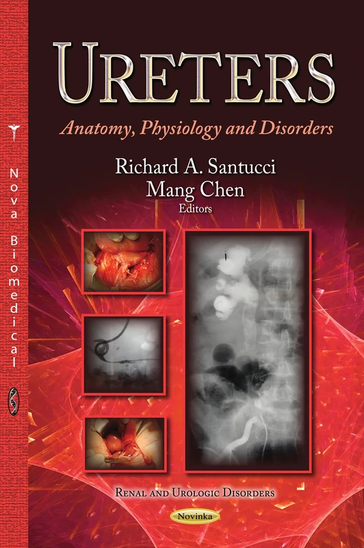 URETERS ANATOMY PHYSIOLOGY AND DISORDE (Renal and Urologic Disorders: Human Anatomy and Physiology)