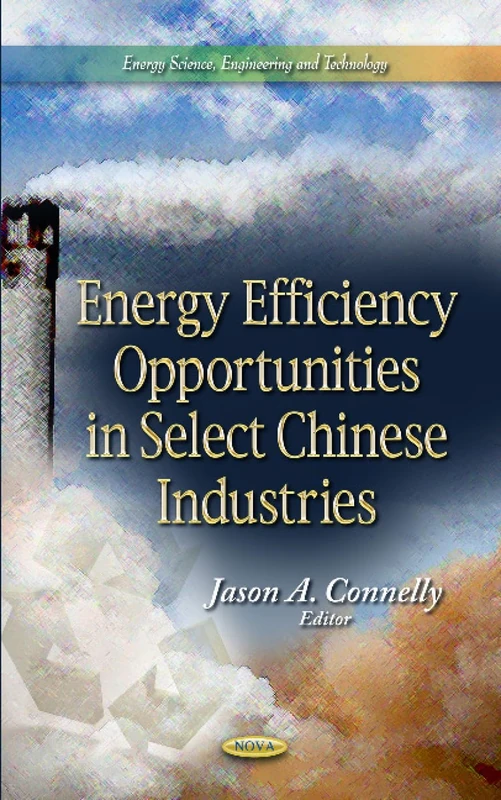 Energy Efficiency Opportunities in Select Chinese Industries (Energy Science, Engineering and Technology: China in the 21st Century)