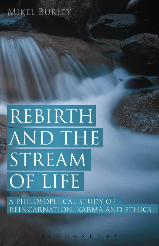 Rebirth and the Stream of Life: A Philosophical Study of Reincarnation, Karma and Ethics - Image 1
