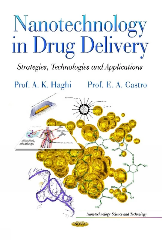 Nanotechnology in Drug Delivery: Strategies, Technologies & Applications (Nanotechnology Science and Technology)
