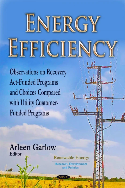 Energy Efficiency: Observations on Recovery Act-Funded Programs & Choices Compared with Utility Customer-Funded Programs (Renewable Energy: Research, Development and Policies)