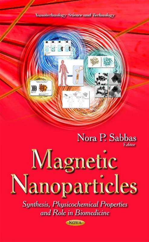MAGNETIC NANOPARTICLES SYNTHESIS PHY: Synthesis, Physicochemical Properties & Role in Biomedicine (Nanotechnology Science and Technology)