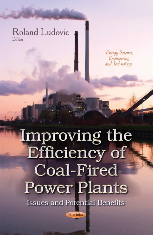 IMPROVING THE EFFICIENCY OF COAL FIRED: Issues & Potential Benefits (Energy Science, Engineering and Technology)