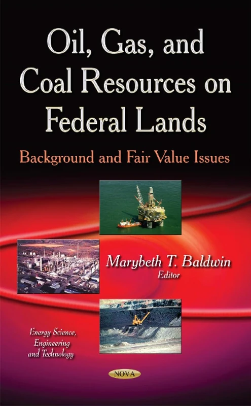 OIL GAS AND COAL RESOURCES ON FEDERA: Background & Fair Value Issues (Energy Science, Engineering and Technology) - Image 1