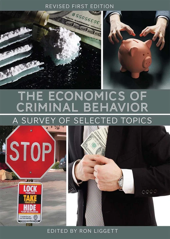 The Economics of Criminal Behavior: A Survey of Selected Topics