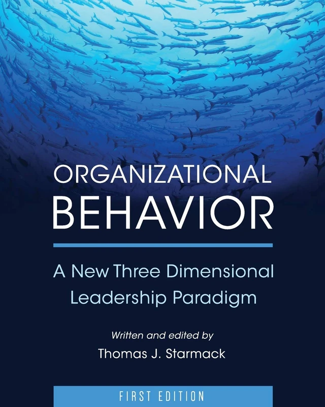 Organizational Behavior: A New Three Dimensional Leadership Paradigm - Image 1