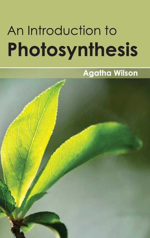 Introduction to Photosynthesis - Image 1