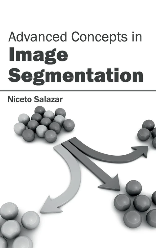 Advanced Concepts in Image Segmentation - Image 1