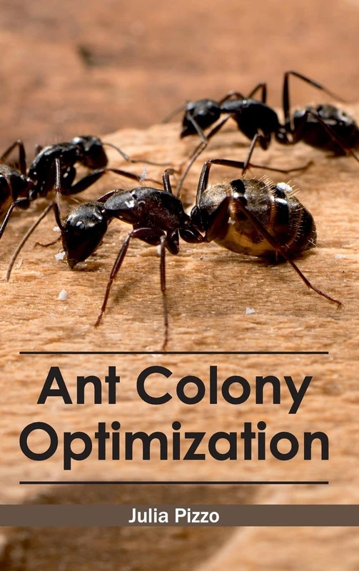 Ant Colony Optimization - Image 1