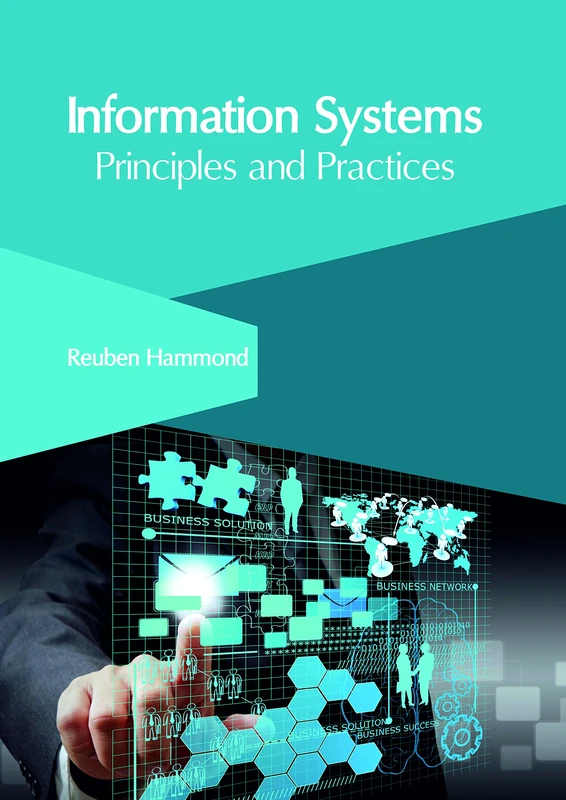 Information Systems: Principles and Practices