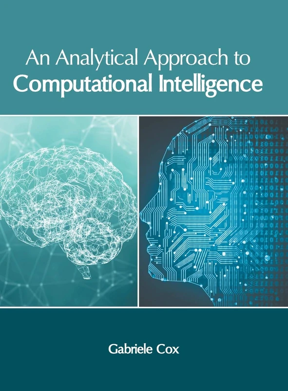 An Analytical Approach to Computational Intelligence