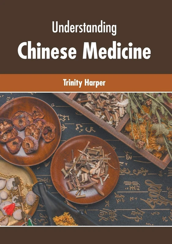Understanding Chinese Medicine - Image 1