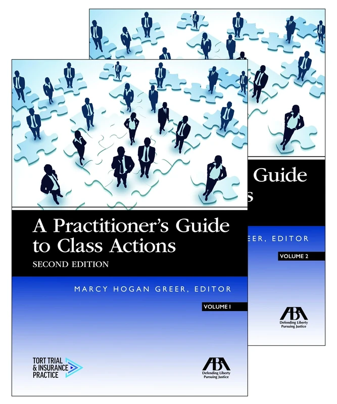 A Practitioner's Guide to Class Actions - Image 1