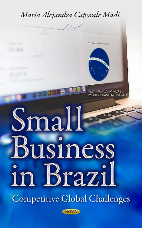 Small Business in Brazil: Competitive Global Challenges (Business Economics in a Rapidly-Changing World)