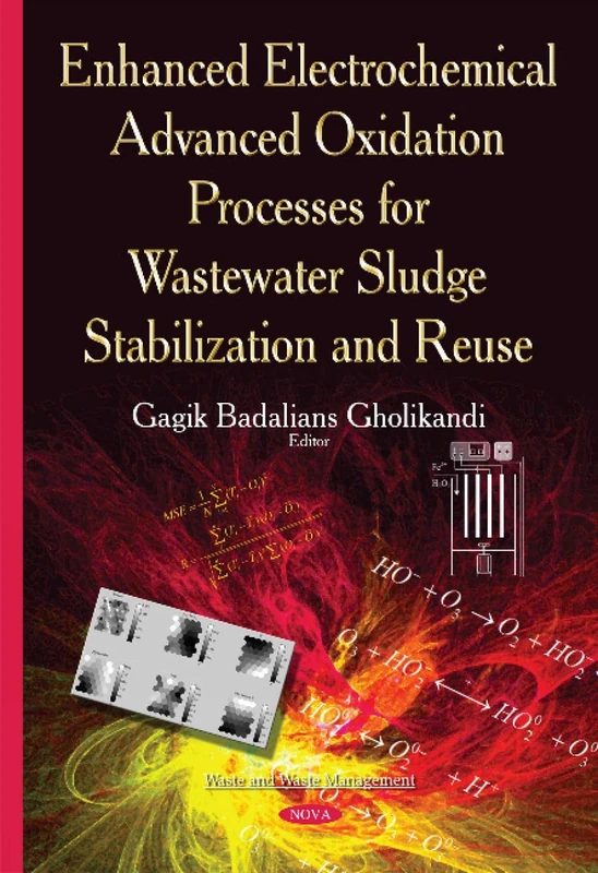 Enhanced Electrochemical Advanced Oxidation Processes for Wastewater Sludge Stabilization & Reuse (Waste and Waste Management)