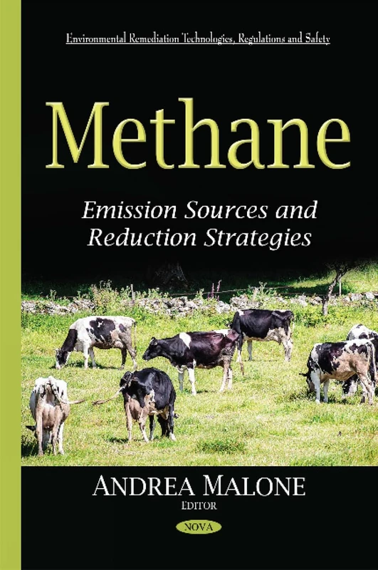 Methane: Emission Sources & Reduction Strategies (Environmental Remediation Technologies, Regulations and Safety)