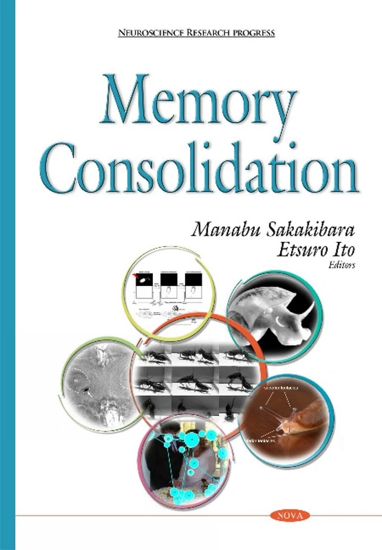 Memory Consolidation (Neuroscience Research Progress)
