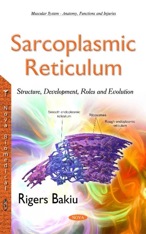 Sarcoplasmic Reticulum: Structure, Development, Roles & Evolution (Muscular System - Anatomy, Functions and Injuries)