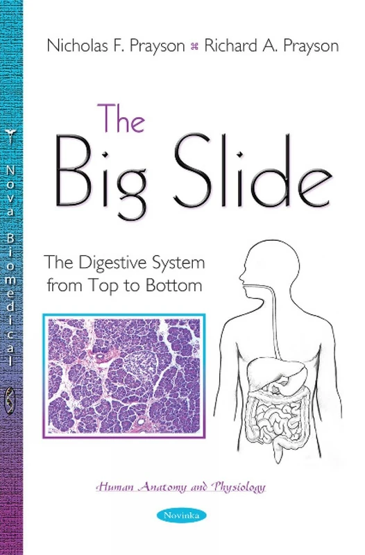 The Big Slide: The Digestive System from Top to Bottom (Human Anatony and Physiology)