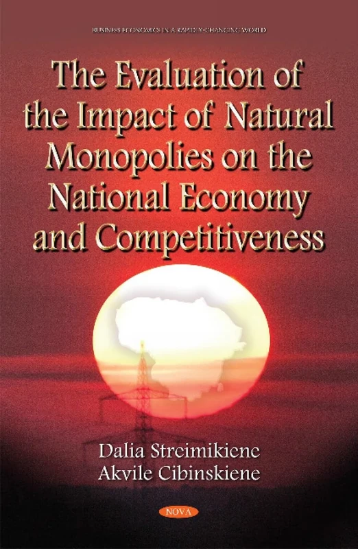 Evaluation of the Impact of Natural Monopolies on the National Economy & Competitiveness - Image 1