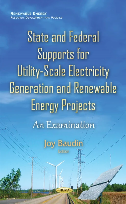 State and Federal Supports for Utility-Scale Electricity Generation
