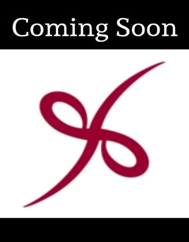 Early Intervention and the Speech-Language Pathologist: Best Practices in Assessment and Intervention for Infants and Toddlers