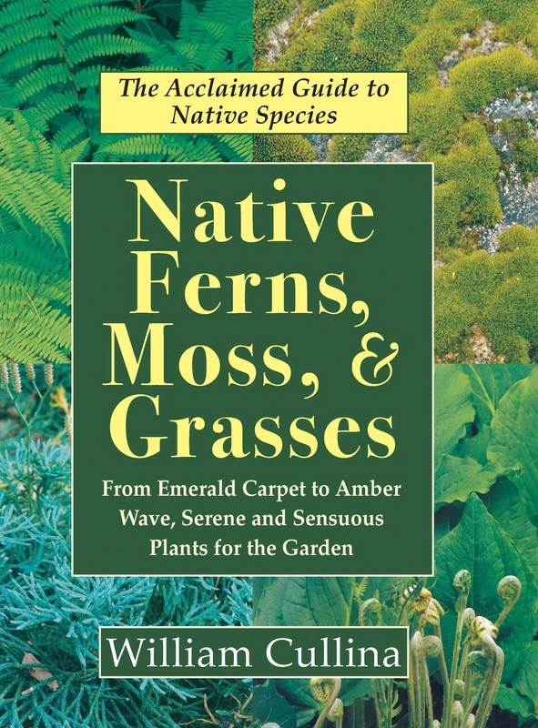 Native Ferns, Moss, and Grasses - Image 1