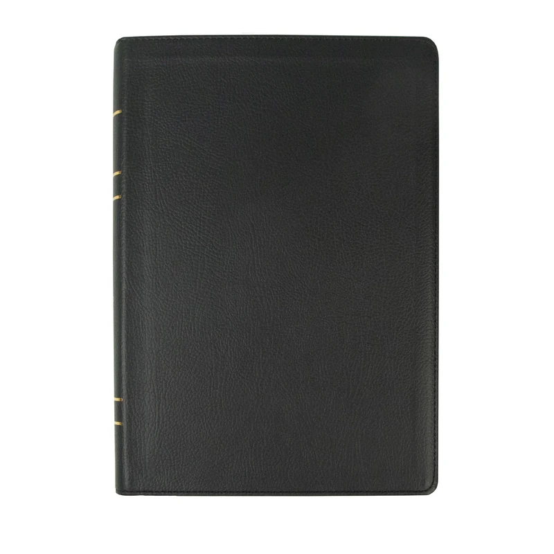 Legacy Standard Bible, Large Print Wide Margin, Paste-Down Black Faux Leather: Legacy Standard Bible, Wide Margin, Paste-down Black Faux Leather