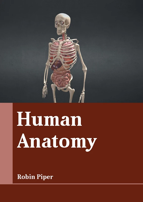 Human Anatomy